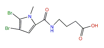 4-(4,5-Dibromo-1-methyl-1H-pyrrole-2-carboxamido)-butanoic acid